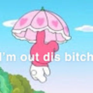 Meet your Posher, Snix